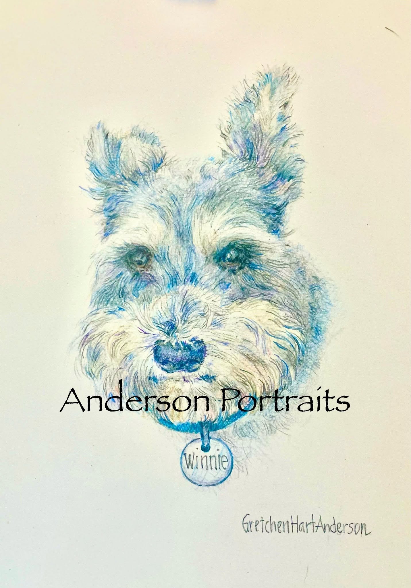 Colored-pencil portrait of Winnie, a scruffy dog