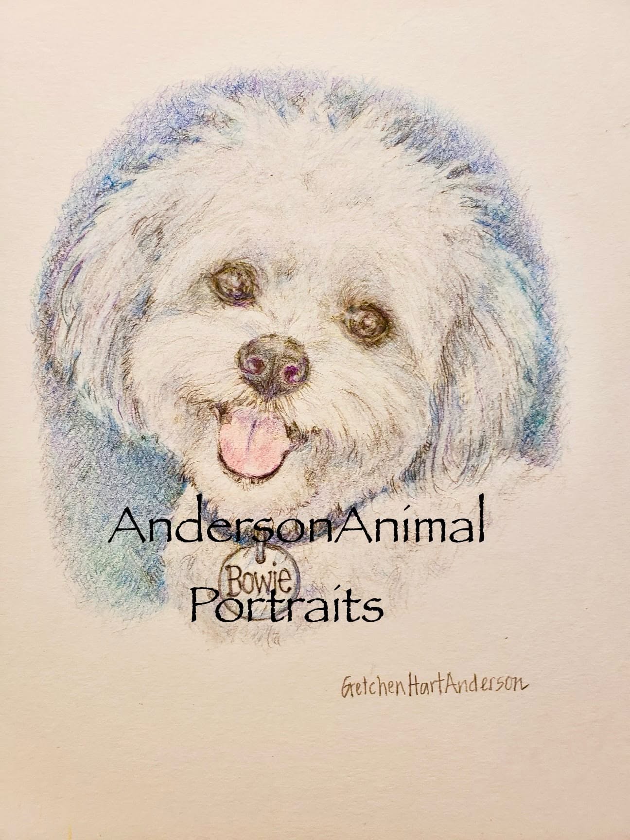 Colored-pencil portrait of a fluffy white dog