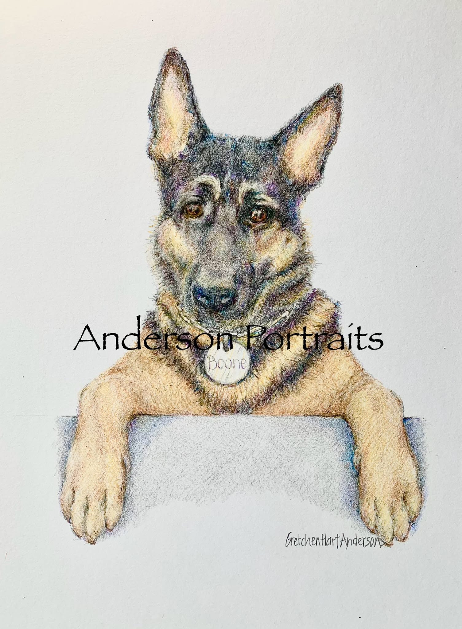 Colored-pencil portrait of a shepherd with its paws resting on a ledge