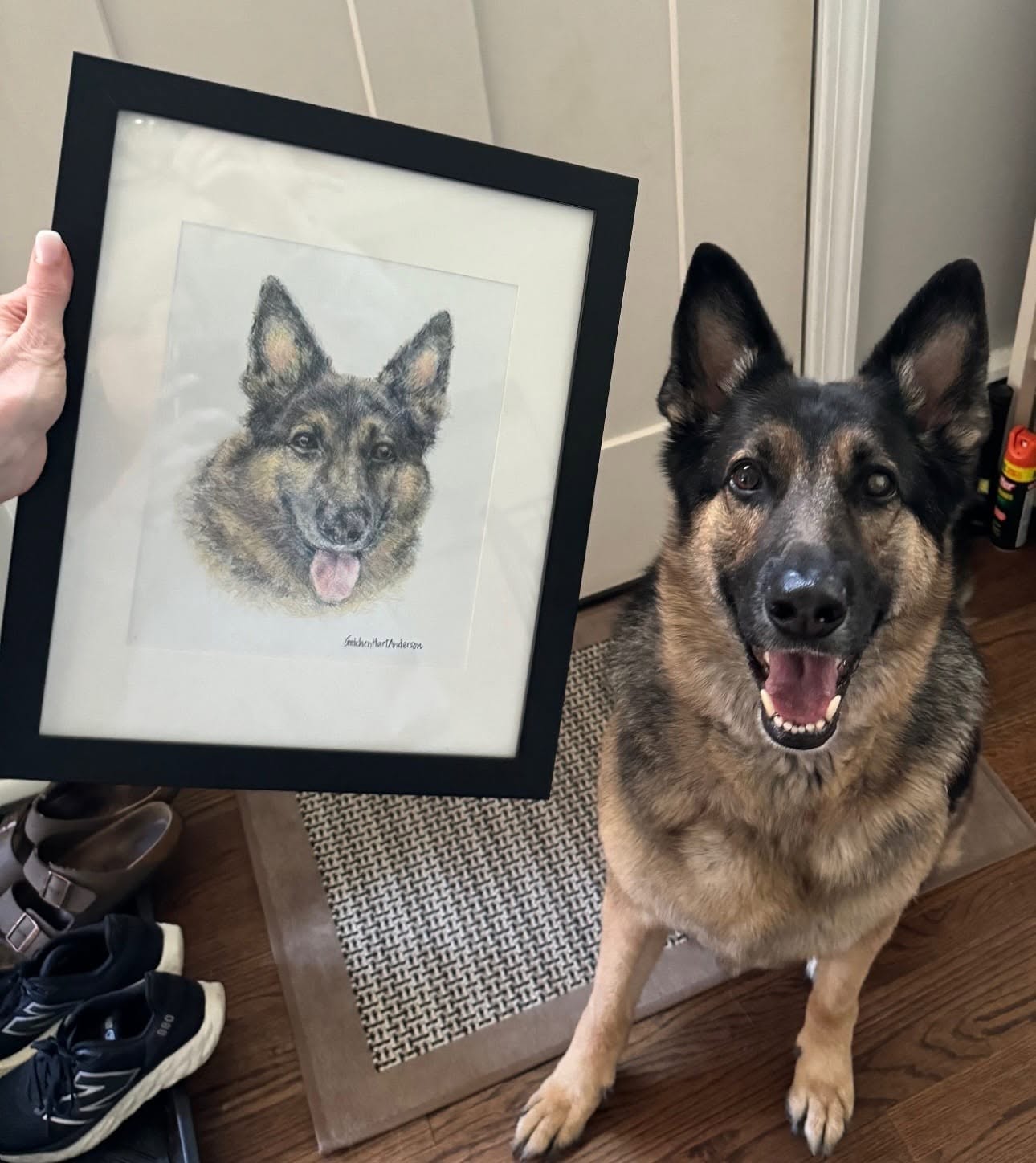 A German shepherd sitting beside its framed pencil portrait